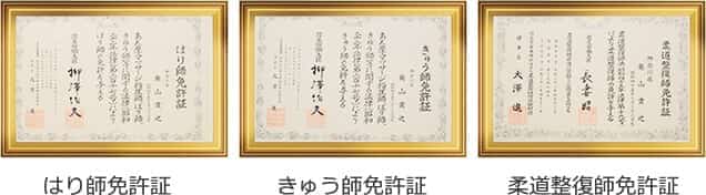 はり師免許証,きゅう師免許証,柔道整復師免許証
